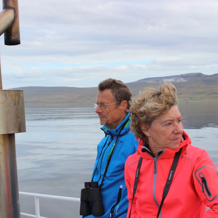 Samspil landsela og ferðamanna á Vatnsnesi