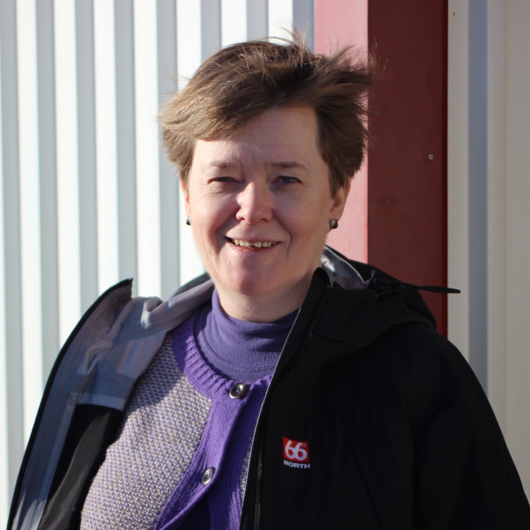 Með mörg járn í eldinum