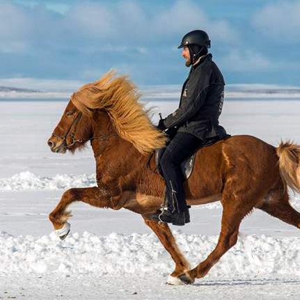 Hrynur frá Hrísdal og Siguroddur Pétursson á Svínavatni 2015.