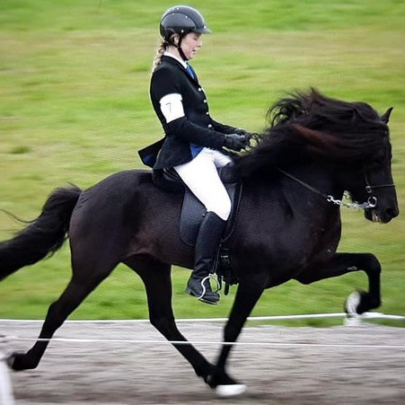 Sina Scholz og Nói frá Saurbæ vöktu mikla athygli fyrir vasklega framgöngu á Landsmóti hestamanna í Reykjavík. Mynd af FB-síðu Sinu Scholz.