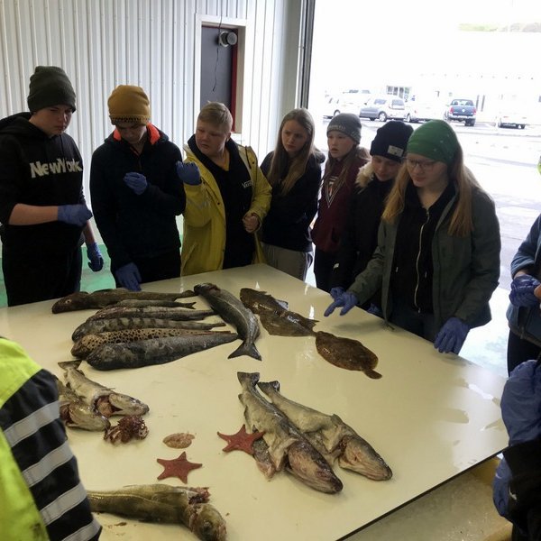 Fiskur er ekki bara fiskur. Skagfirsk ungmenni fá kennslu á Sauðárkróki. Mynd af Facebooksíðu Sjávarútvegsskóla unga fólksins.
