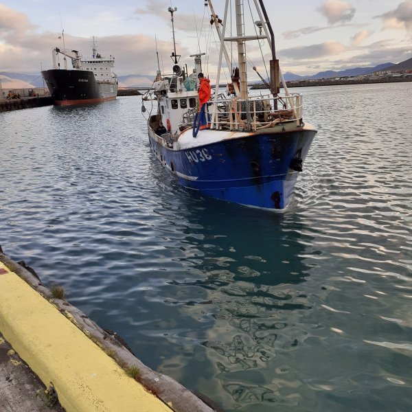 Hér sést Gummi á Onna HU 36 sem landaði 25 tonnum í síðustu viku í Skagafjarðarhöfn.