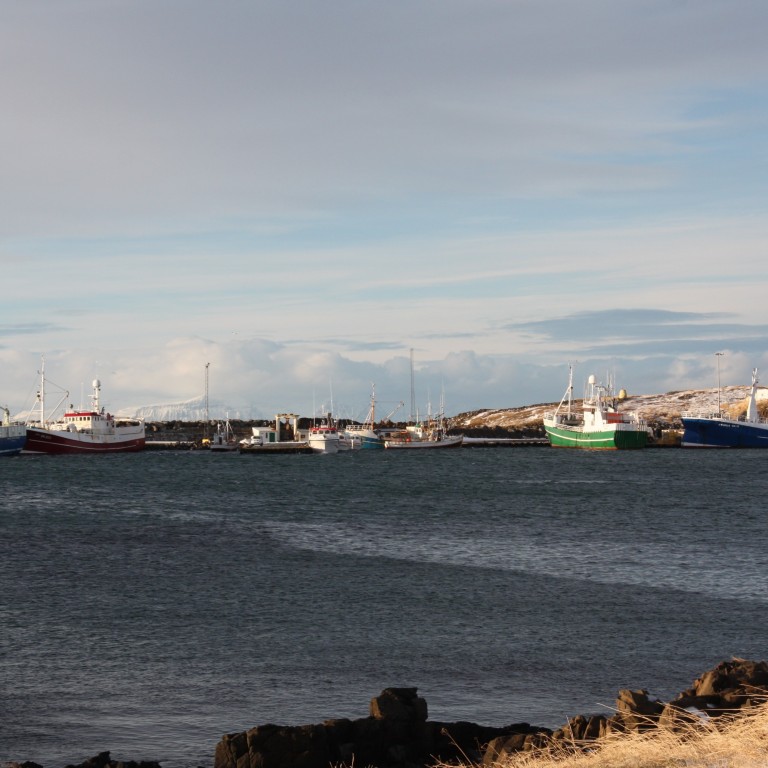 Líf og fjör í Skagastrandarhöfn