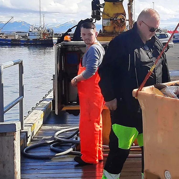 Landað á Skagaströnd. MYND AF FB SKAGASTRANDARHAFNAR