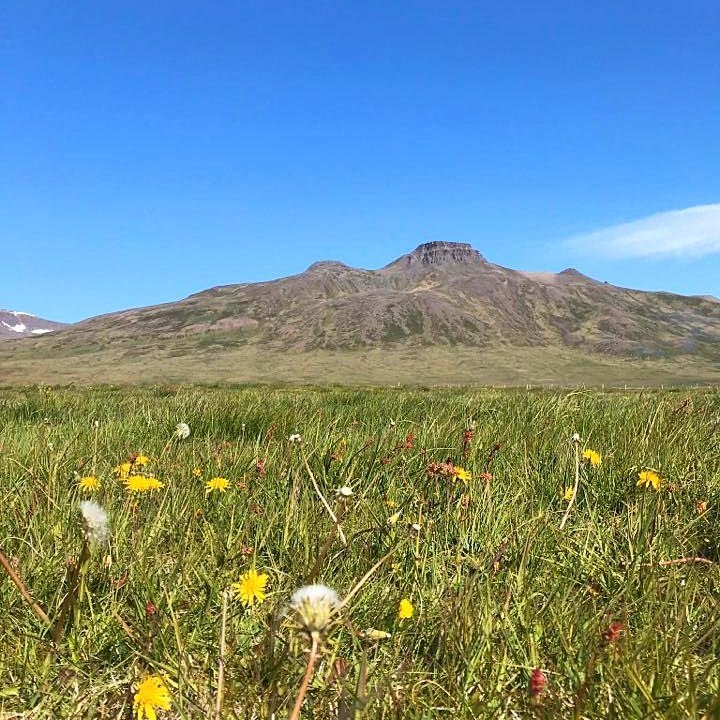 Nú mæta allir sem vettlingi geta valdiið og láta hendur standa fram úr ermum. MYND AF SÍÐU SKAGASTRANDAT