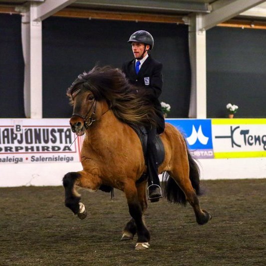 Mynd af Facebooksíðu Hestamannafélagsins Skagfirðings.