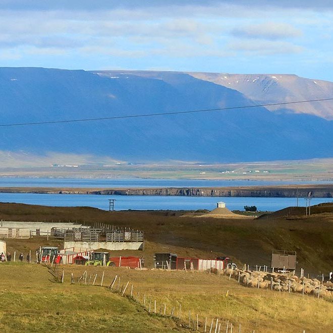 Séð yfir Skarðsrétt og Hegranes fyrir miðri mynd. MYND: ÓAB