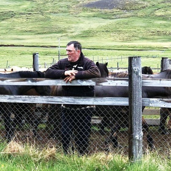 Hestamaðurinn Skarphéðinn spáir í hrossin.