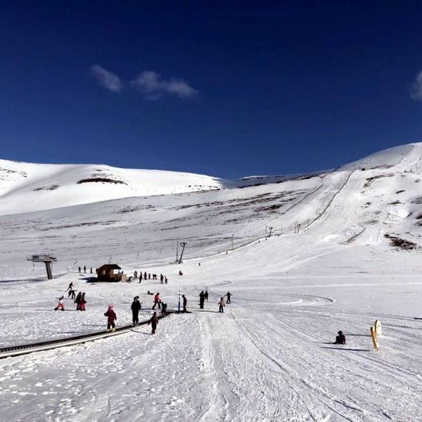 Skíði, skíði og skíði