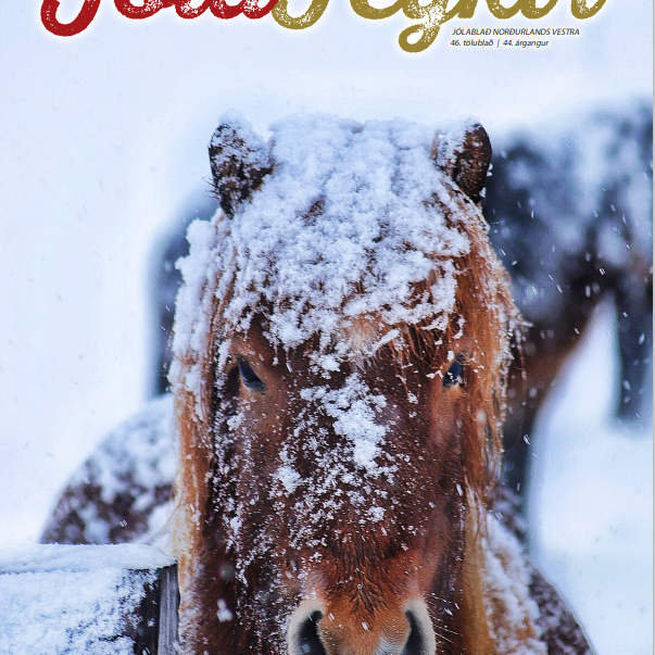 Forsíða Jólafeykis í ár er mynd tekin af Hólmfríði Lilju Böðvarsdóttur.