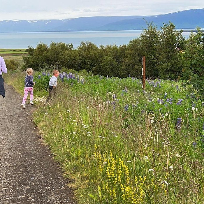 Útivera í Skógarhlíðinni ofan Sauðárkróks. MYND AÐSEND