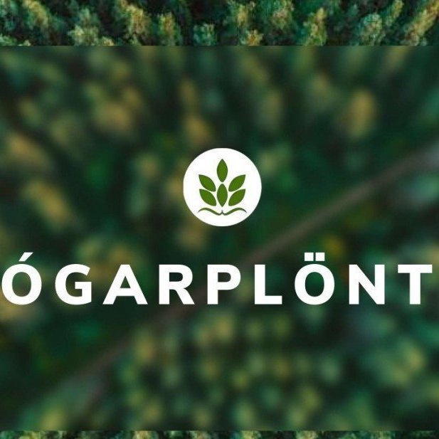 Mynd tekin af ssnv.is