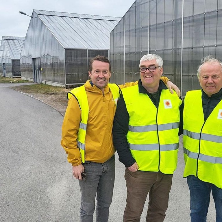 Gróðurstöðvar skoðaðar í Svíþjóð og Hollandi. Frá vinstri: Skúli Húnn Hilmarsson, Björn Líndal Traustason og Hafberg Þórisson. MYND: SSNV