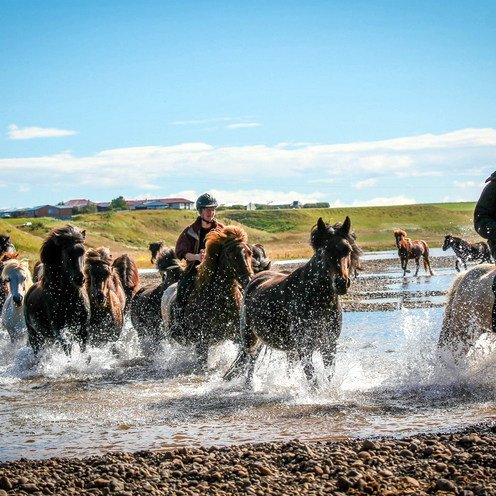 Myndina tók Árborg Ragnarsdóttir sem er búsett á Hvammstanga.