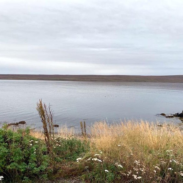 Myndir af vettvangi sem sýnir að ástandið hefur batnað til muna frá því í fyrra, líkt og mynd sem birtist með frétt ruv.is um málið.