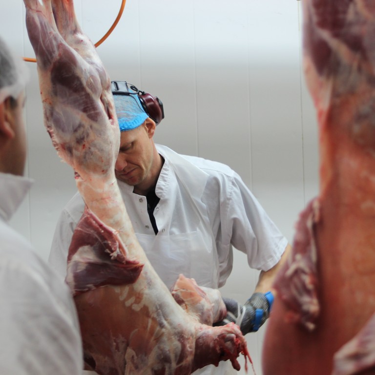 Meðalþyngd dilks 16,12 kg