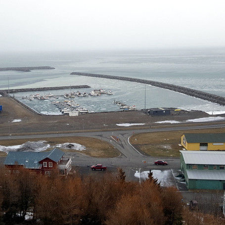 Niðurstöður Heilbrigðiseftirlits Norðurlands vestra gefa skýrt til kynna að engin skolpmengun sé í smábátahöfninni á Sauðárkróki. Mynd: PF.