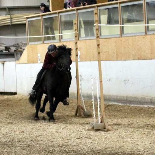 Skemmtilegur smali í Mótaröð Þyts