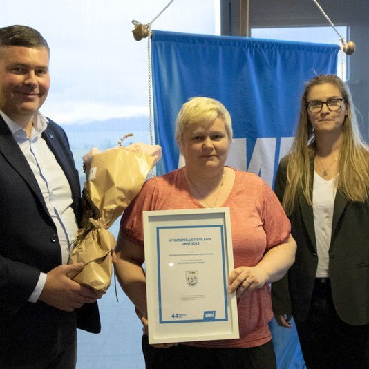 Jóhann Steinar Ingimundarson, formaður UMFÍ, Snjólaug María Jónsdóttir, formaður USAH, og Auður Inga Þorsteinsdóttir, framkvæmdastjóri UMFÍ. Aðsend mynd.