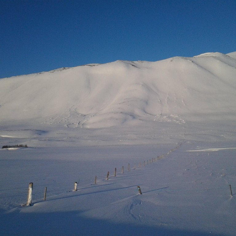 Nokkrar spýjur í Óslandshlíð