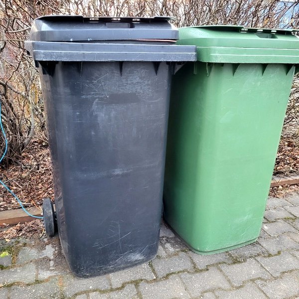 Á nýju ári munu tvær tunnur ekki duga því eftir innleiðingu nýrra laga skulu þær verða þrjár talsins. Mynd: PF