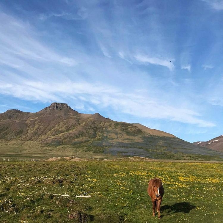 Spákonufell. MYND AF SKAGASTRÖND.IS