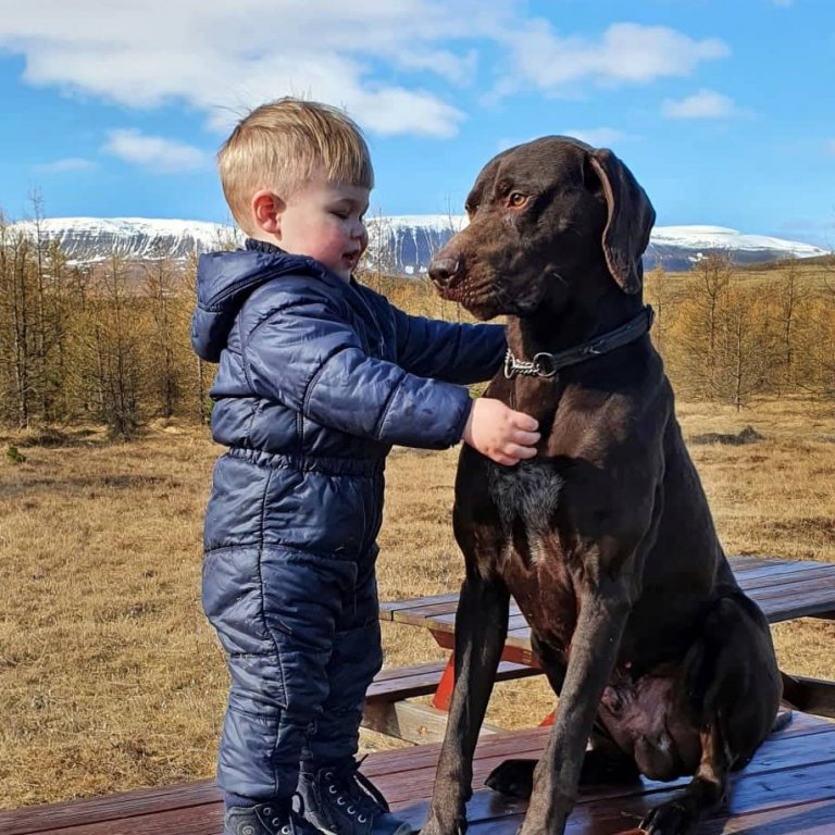 Breki og Steinþór sælir saman. AÐSEND MYND