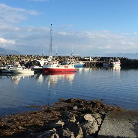 Mynd af FB-síðu VG í Skagafirði.