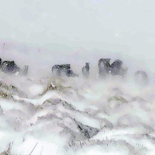 Veður var víða hið versta í byrjun júní. MYND: EVELYN