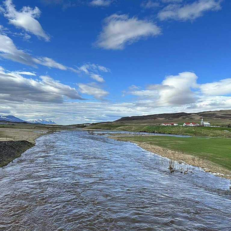 Barmafull Svartá/Húseyjarkvísl seinni partinn í dag. Reykir til hægri. MYND: ÓAB