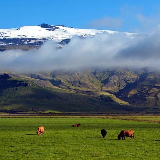 Mynd af vef Stjórnarráðsins: iStock/Karel Stipek