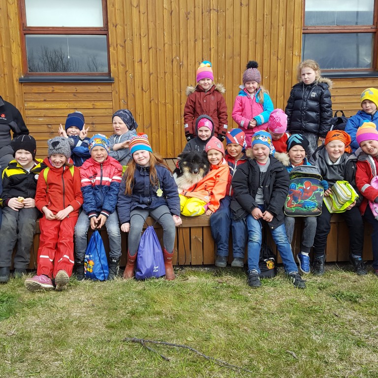 Nemendur í 1. bekk Árskóla í Keldudal ásamt kennurum sínum. Með þeim á myndinni eru Guðrún Lárusdóttir og Þórarinn Leifsson, bændur í Keldudal, ásamt fjárhundunum Gerplu Fróði og Snjó-Línu. Mynd: Guðrún Lárusdóttir.