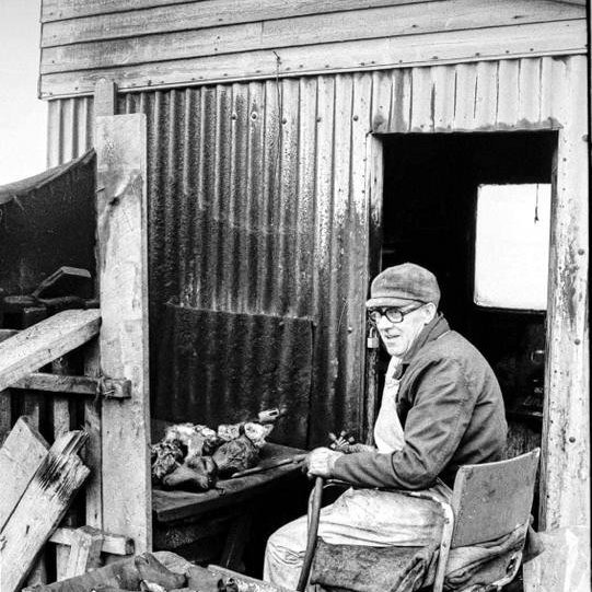 Mynd af viðburðasíðu Sviðamessu.