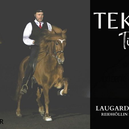 Tekið til kostanna í Sæluviku