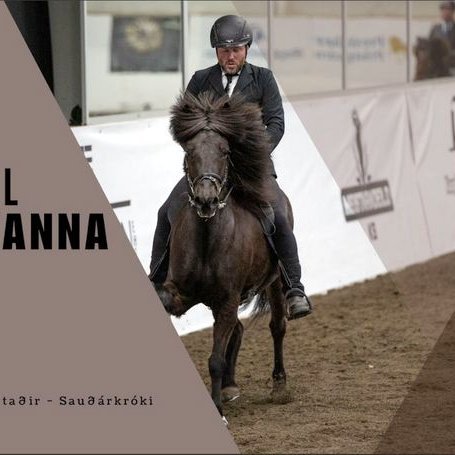 Hestadagar í Skagafirði hefjast á morgun - UPPFÆRT