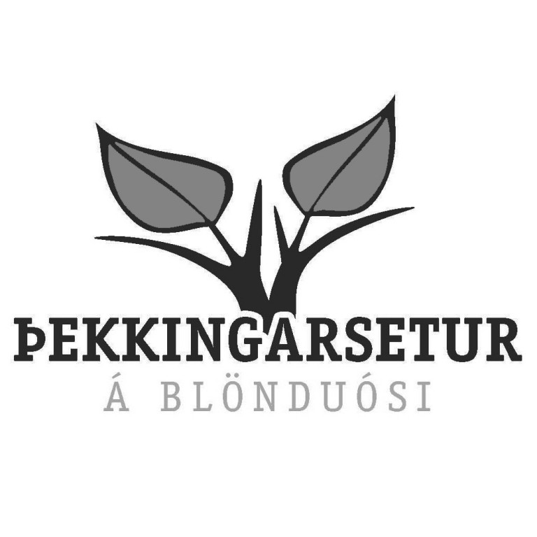 „Er eitthvað að gerast í Kvennaskólanum?“