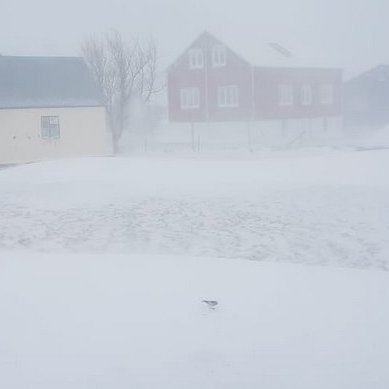 Þorrinn heilsar heldur hranalega á Norðurlandi í dag. Mynd:FE