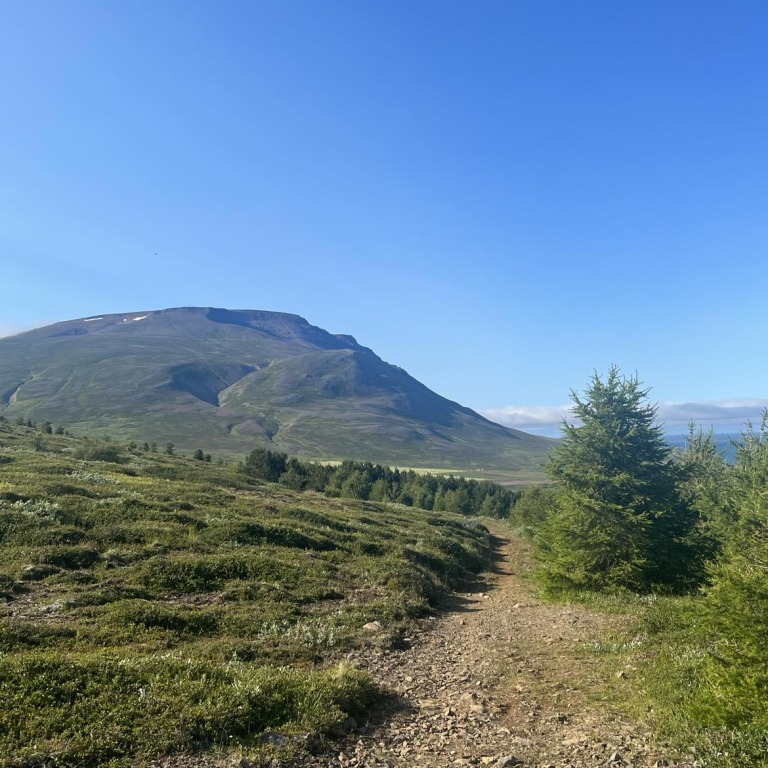 Frá hlaupaleiðinni í Skógarhlíð. Mynd: Aðsend