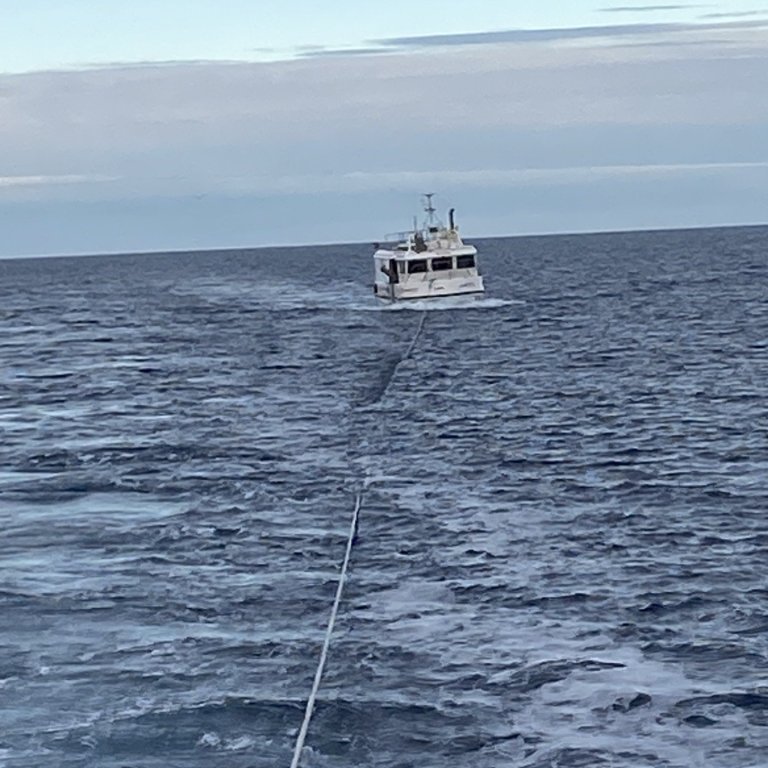 Aðsend mynd af verkefninu.