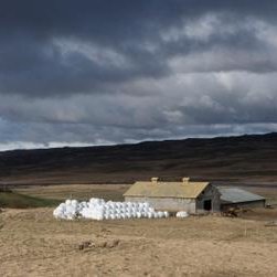 Kollafoss eða Kollufoss. Mynd: kollafoss.farm.