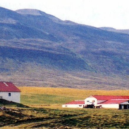 Mynd: Ípishóll 20. september 1999. Í baksýn eru Vesturfjöllin ofan Sæmundarhlíðar. Konungsgilið til vinstri á mynd. Mynd ú II. bindi Byggðasögu Skagahjarðar, bls. 481.
