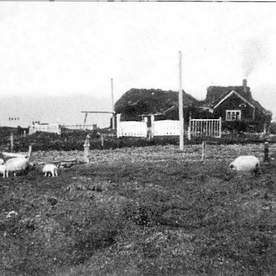 Myndatexti: Kirkja og bær á Ketu um eða skömmu fyrir 1940. Horft úr suðri yfir lambfé í túni og „stakkett“ í kirkjugarðinum sunnan við bæinn. Mynd úr Byggðasögu Skagafjarðar I. bindi.