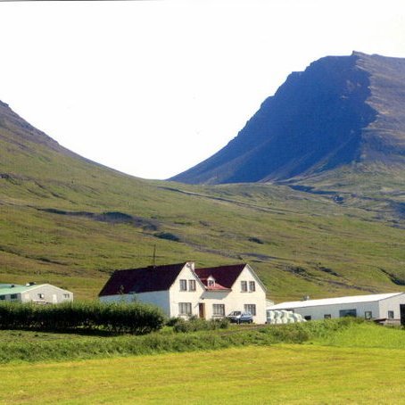 Vaglar 17. ágúst 2006. Fjósið til vinstri. Sér á stafn vélaskemmunnar ofan við heyrúllurnar. Miðsitjuskarðið í baksýn. Mynd: Byggðasaga Skagafjarðar.