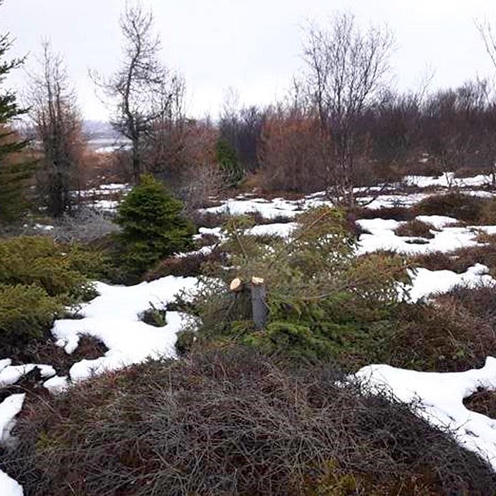 Ófögur sjón í Skógarhlíðinni. Hvað gengur fólki til?  MYND AF VEF SVEITARFÉLAGSINS