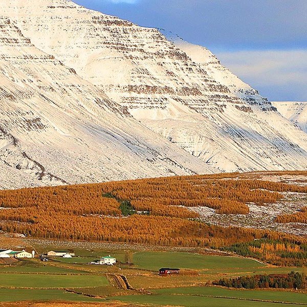 Neðri-Ás I í Hjaltadal í haustlitunum. MYND: ÓAB