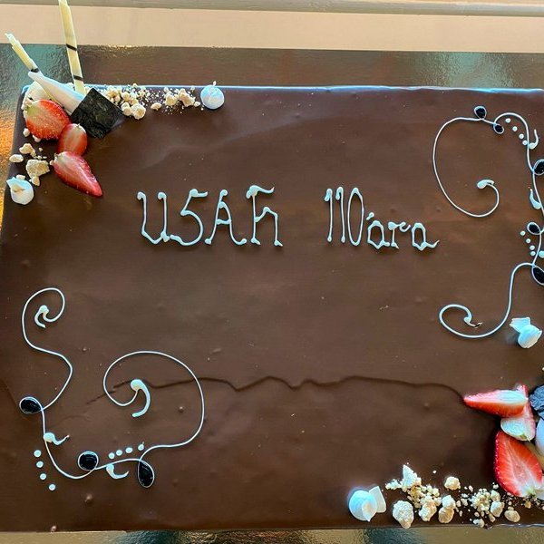 Afmælistertan rétt áður en þingmenn gerðu hennig góð skil.