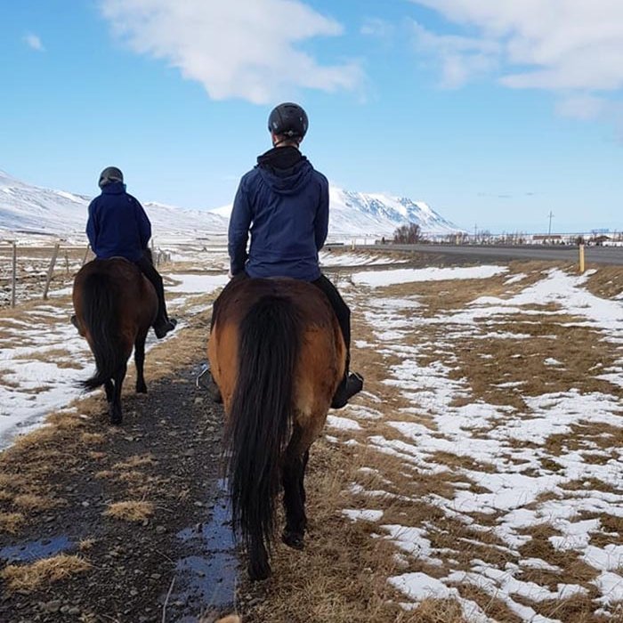 Áfram veginn. Myndina tók Sigfús Ingi í útreiðartúr á skírdag.