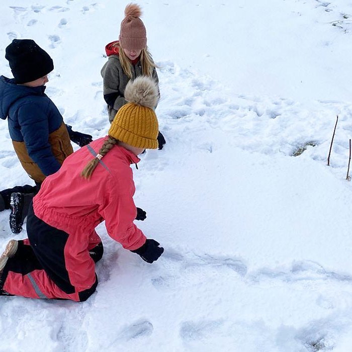 Sköpunargleði og snjóhúsagerð. MYND AF VEF VARMAHLÍÐARSKÓLA