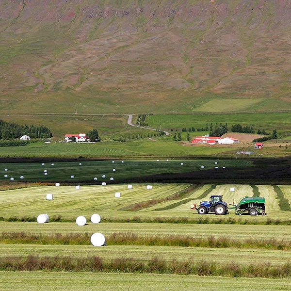 Blómlegt um að litast í Vatnsdalnum. Myndin tengist fréttinni ekki beint. MYND: ÓAB