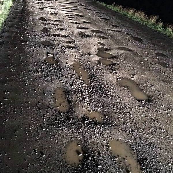 Þessa mynd af holóttum Vatnsnesvegi birtir Bjarni Jónsson á Facebooksíðu sinni.